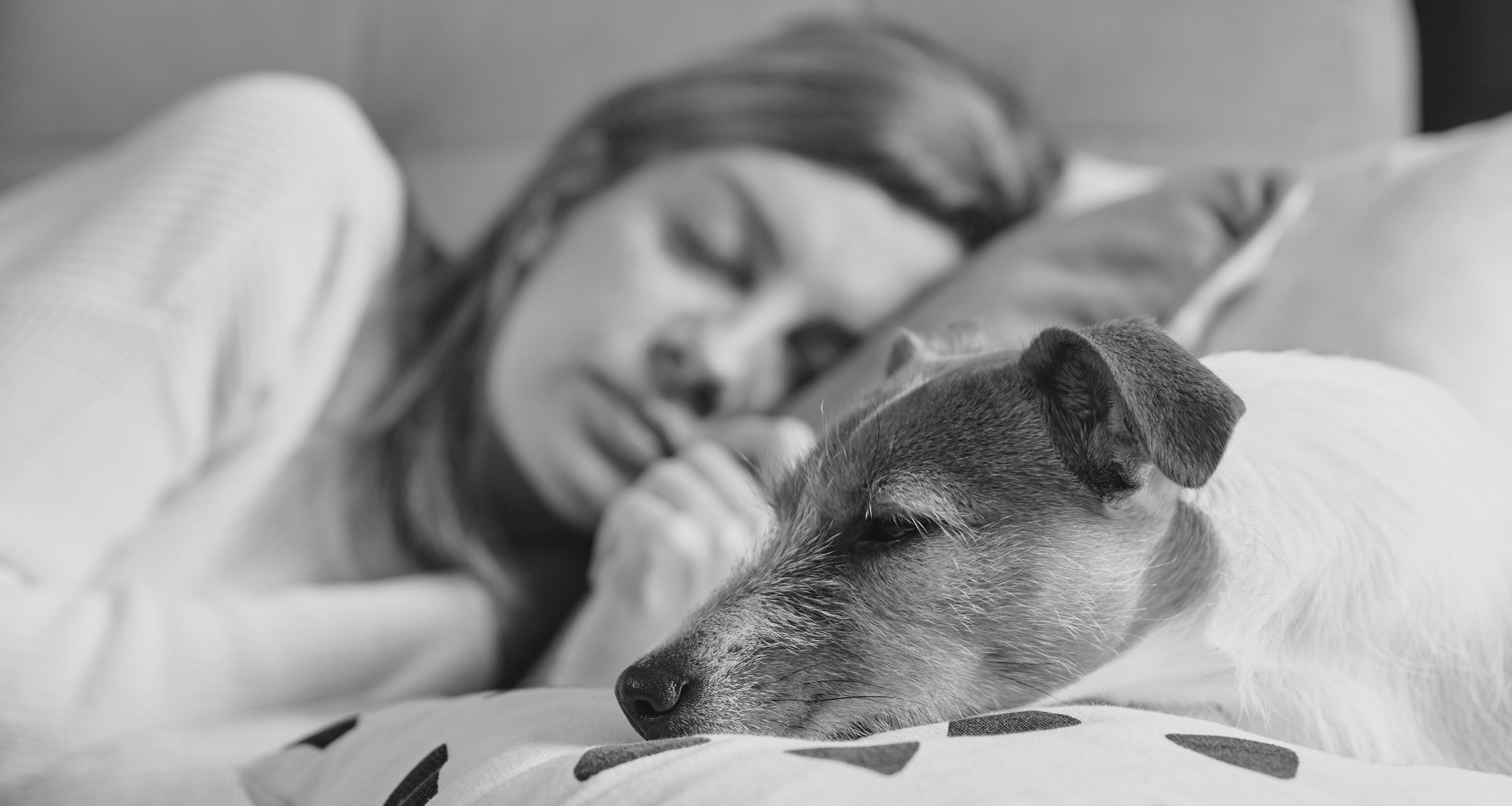 Hero banner image adoute